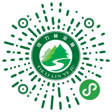 爱折腾小程序应用场景铁力局招商办